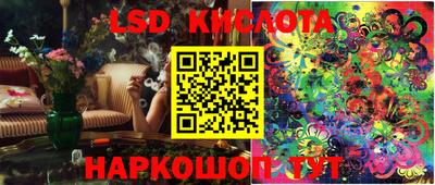 2c-b Кингисепп
