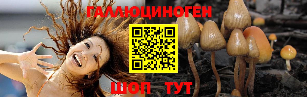 Псилоцибиновые грибы Psilocybine cubensis  Псилоцибиновые грибы прущие грибы  сколько стоит  Вход с VPN  Конаково 